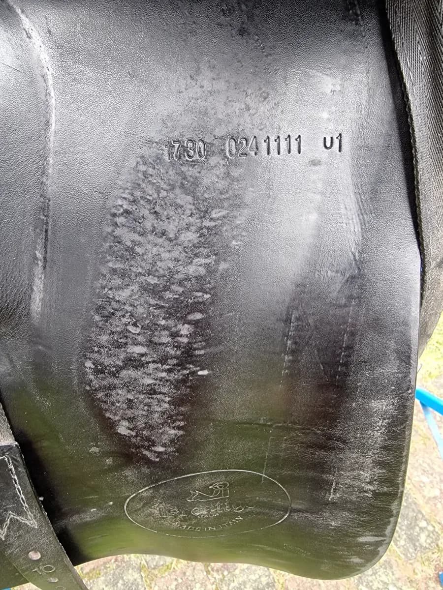 Prestige Dressursattel Roma Dressage 17' – Vorschau 2