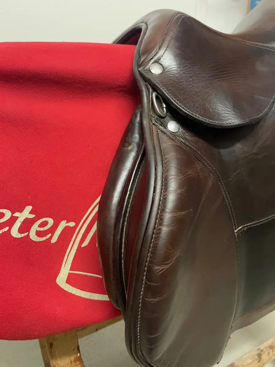 Amerigo Springsattel Peter Menet 17' – Vorschau 2